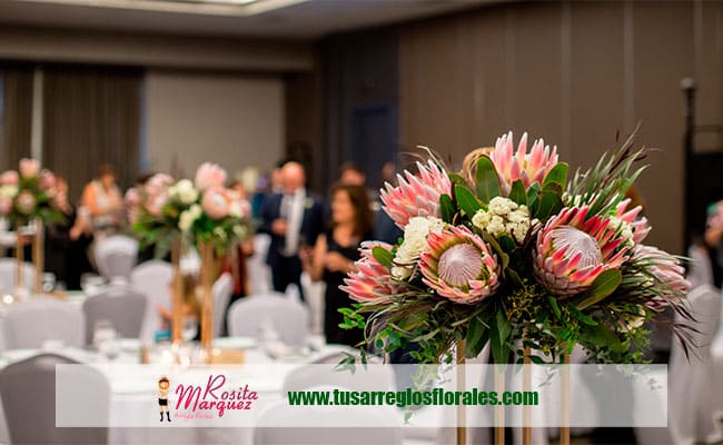 Proteas para bodas Proteas para bodas